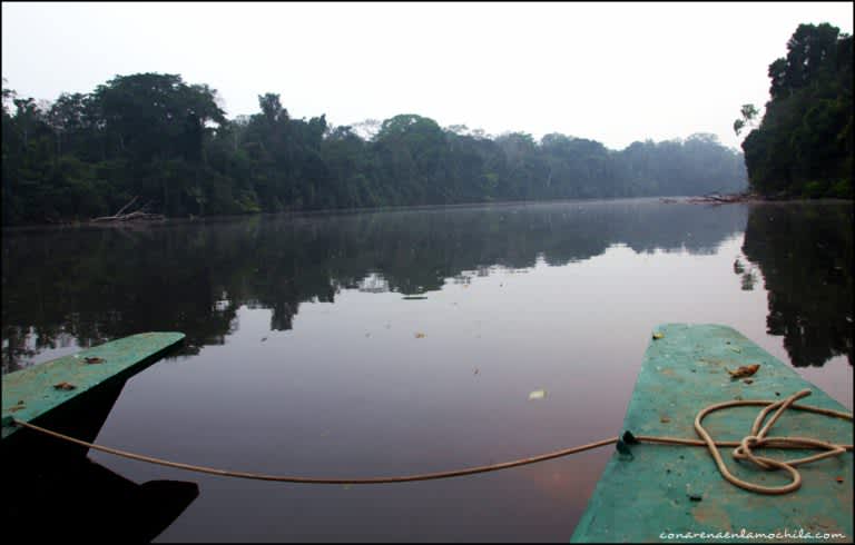 Parque Nacional del Manu: Qué ver y cómo llegar a la joya de la Amazonia peruana