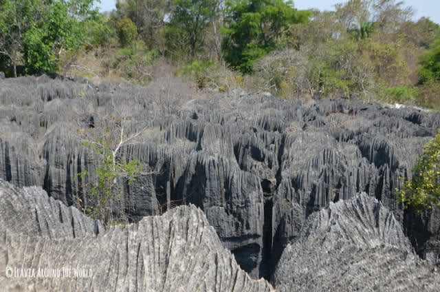 El Parque Nacional Tsingy de Bemaraha en Madagascar