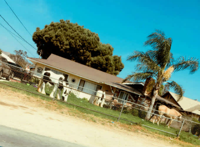 Caballo town – Corona (California)