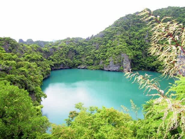 El paraíso tailandés de Mu Ko Ang Thong National Park: muchas islas, pocas películas y un mono.