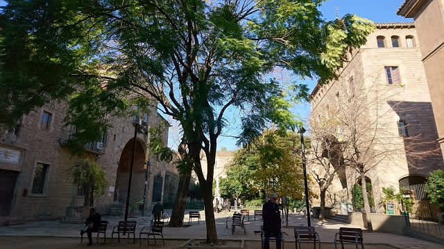 Hospital de la Santa Creu y el anfiteatro anatomico, una joya del Raval