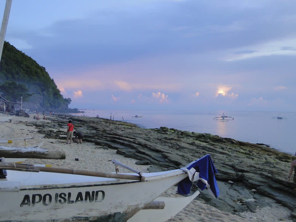 Apo Island, tortugas y arrecife de colores en Filipinas