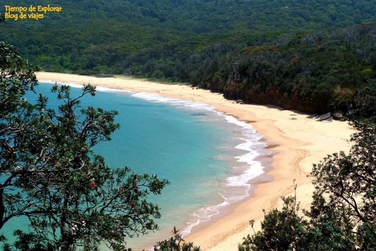 Visitar Bouddi National Park (Escapadas cerca de Sydney)