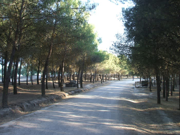 Viajes coquitos y Dehesa de Santa Fe Granada