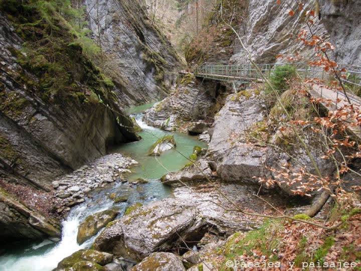 Visitas las gargantas de la Jogne (Gorges de la Jogne) – Broc