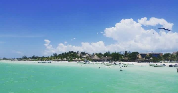 Cómo llegar a Holbox: 5 alternativas y razones para visitar este paraíso mexicano