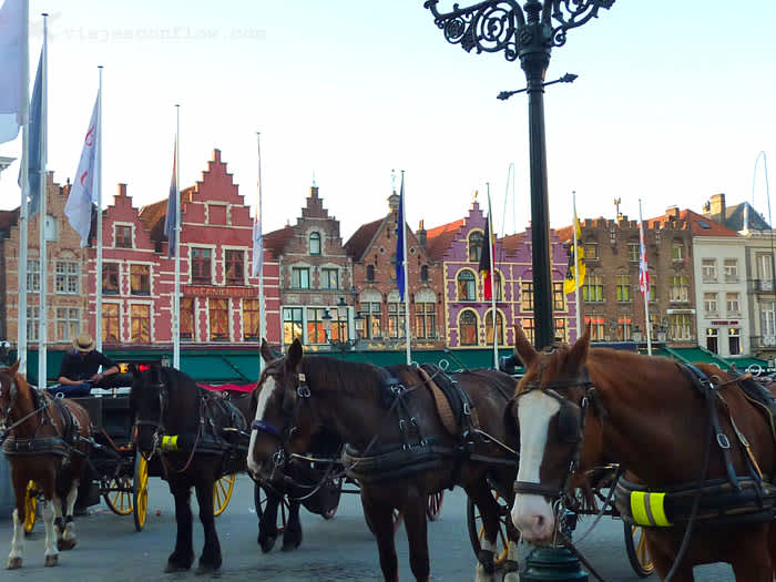 Bélgica: las mejores visitas guiadas y excursiones desde Bruselas