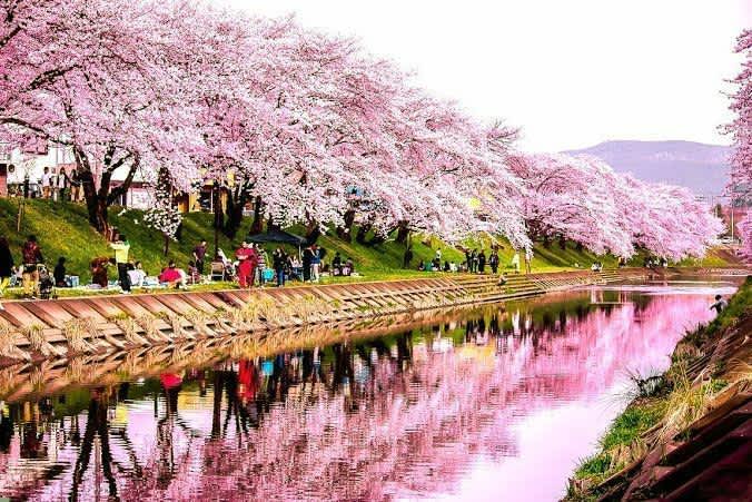 Cuándo viajar a Japón. Clima, eventos y precios