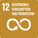 12. Responsible consumption and production