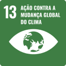 13. Ação contra a mudança global do clima