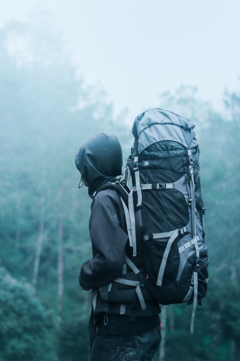 travel backpack bag