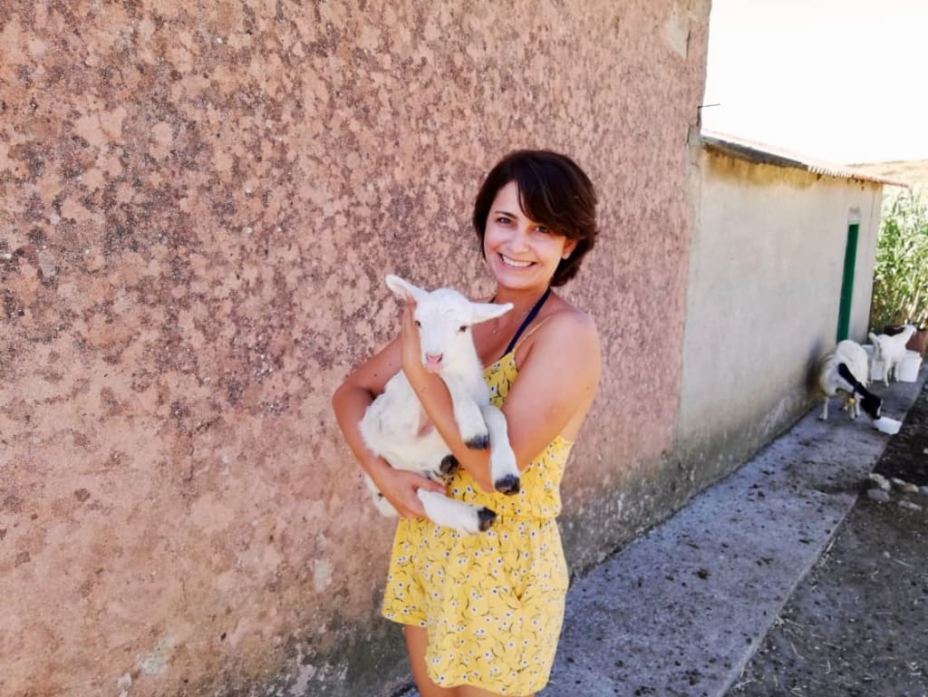 intercambio na italia