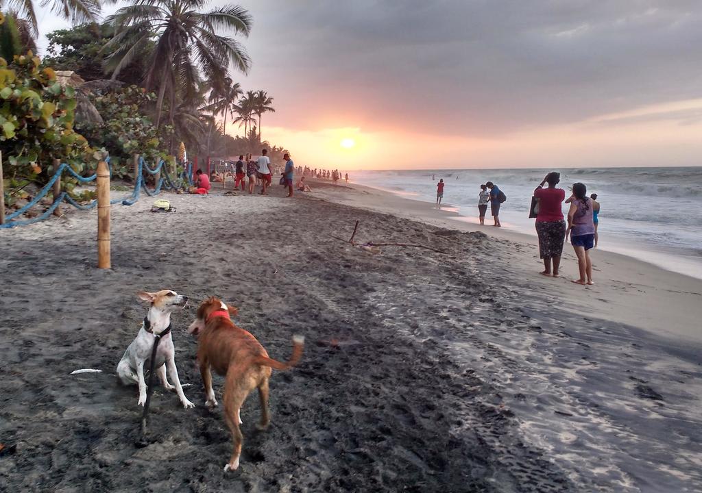 Cali, Colômbia: guia completo para a sua viagem