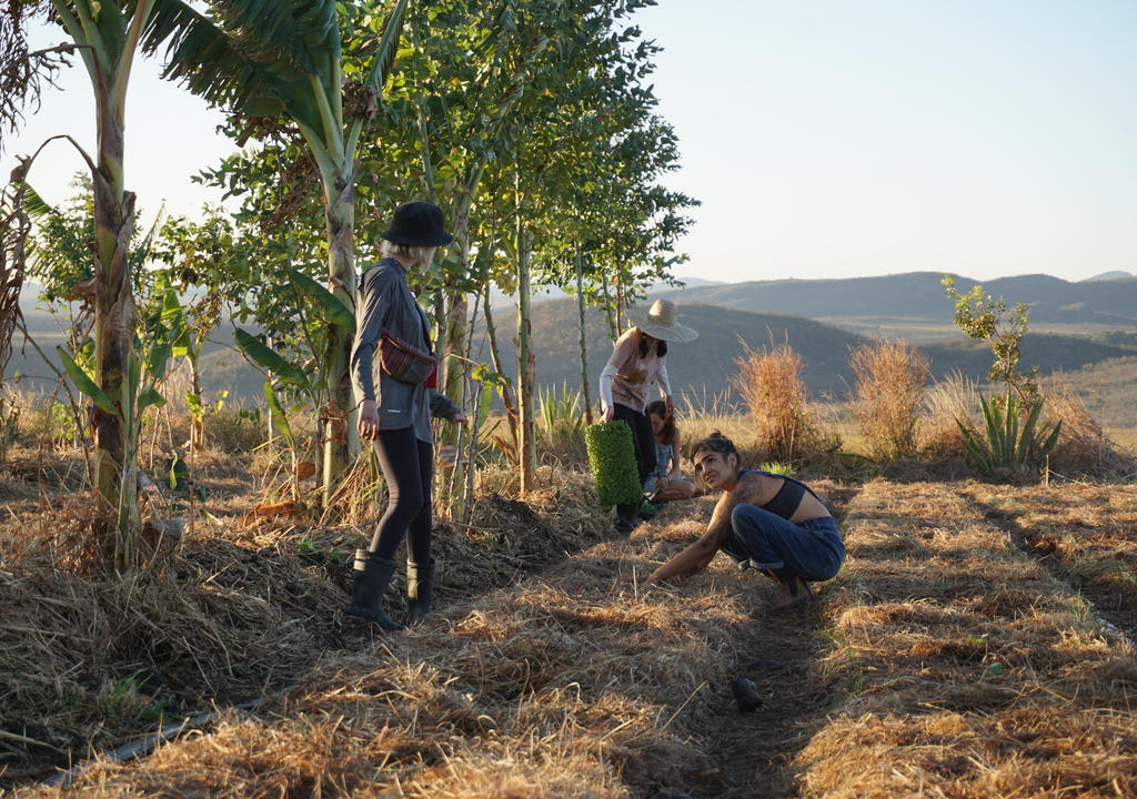 Projetos Ecológicos Brasil: Nos ajude com nossas mídias sociais na