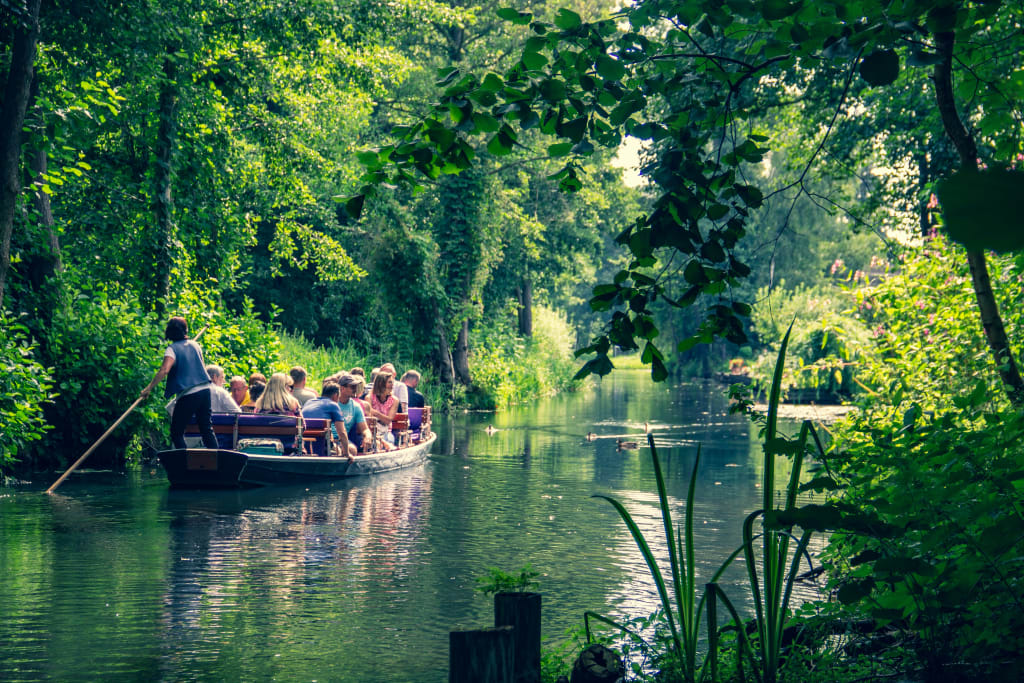 eco-tours