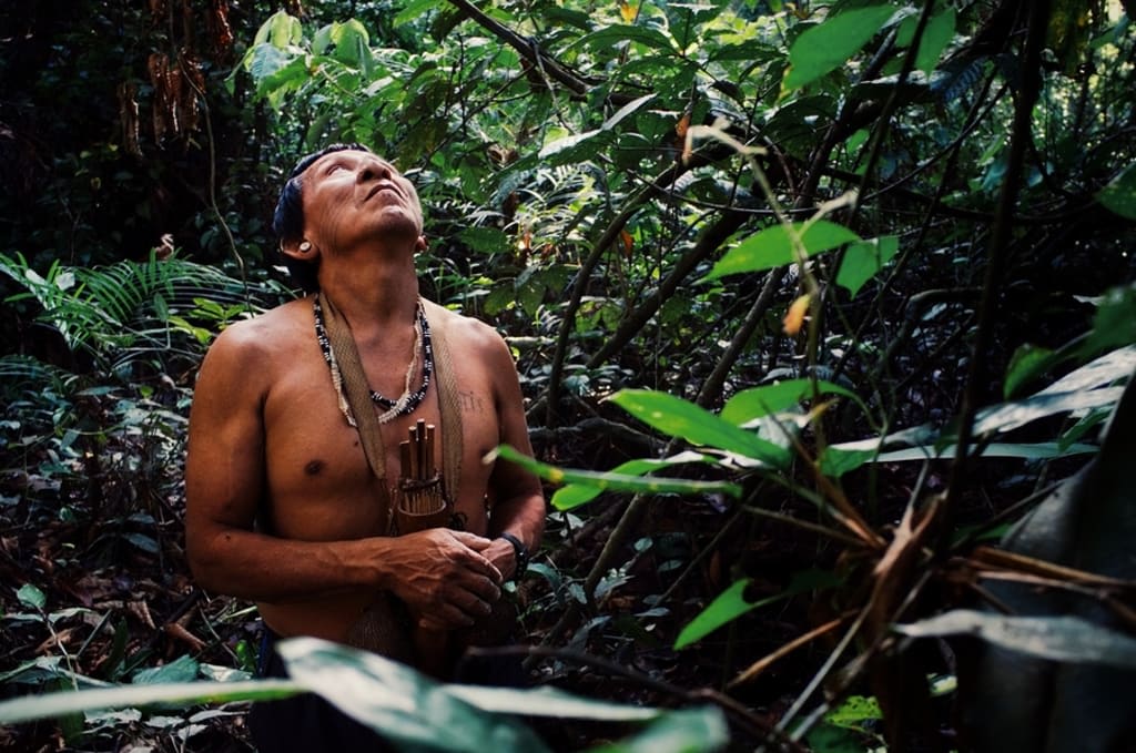 original indigenous people of the Amazon Rainforest