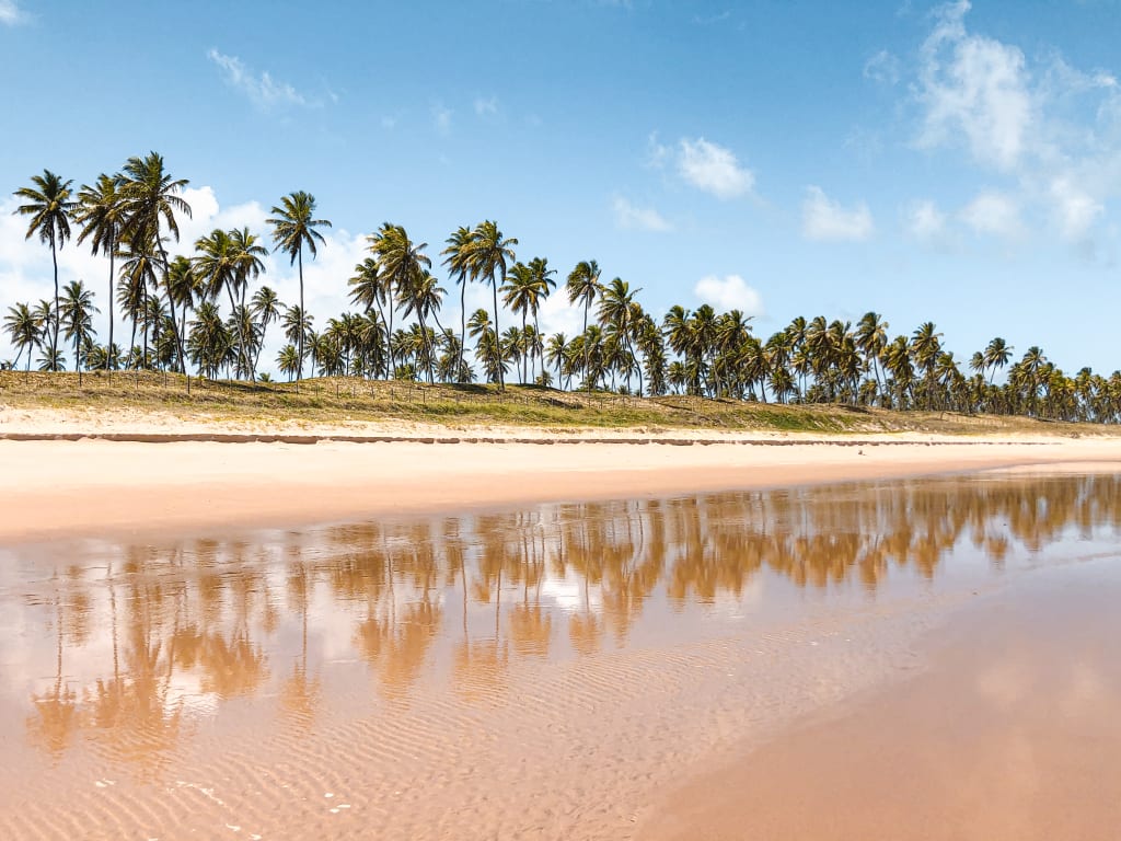 litoral norte da bahia