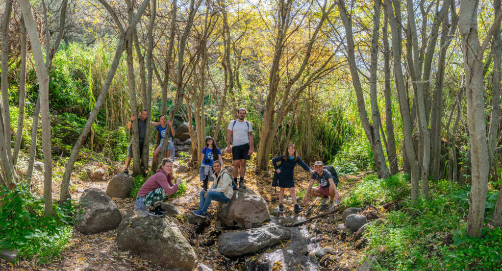 voluntariado en España 