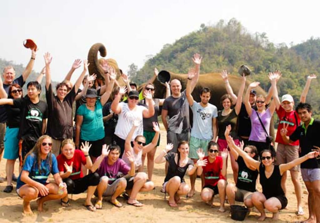 volunteer tourism turkey