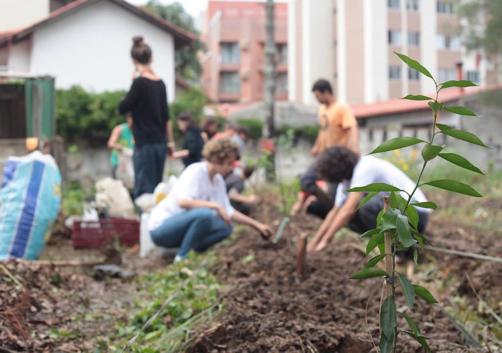 Pequeno Guia para Jardinar a Alma – Dá Tua Mão: Vivencias