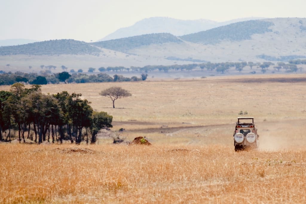 safari destination