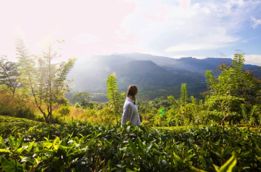 What is agroecology