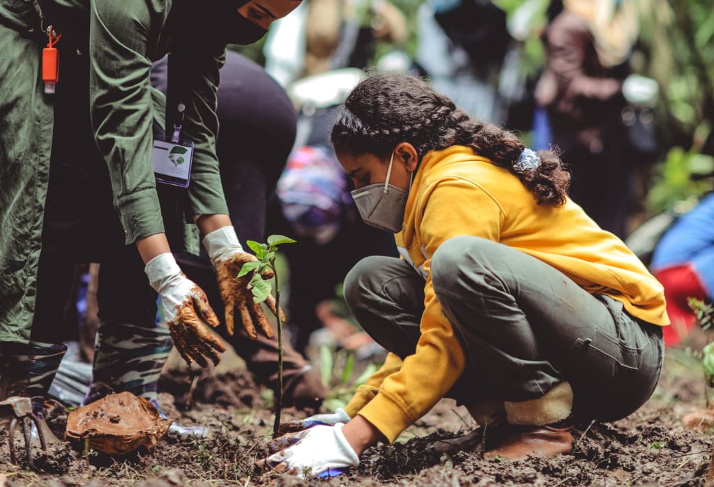Impacto socioambiental