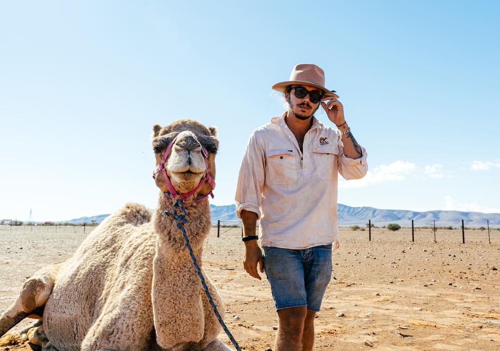 visa-working holiday