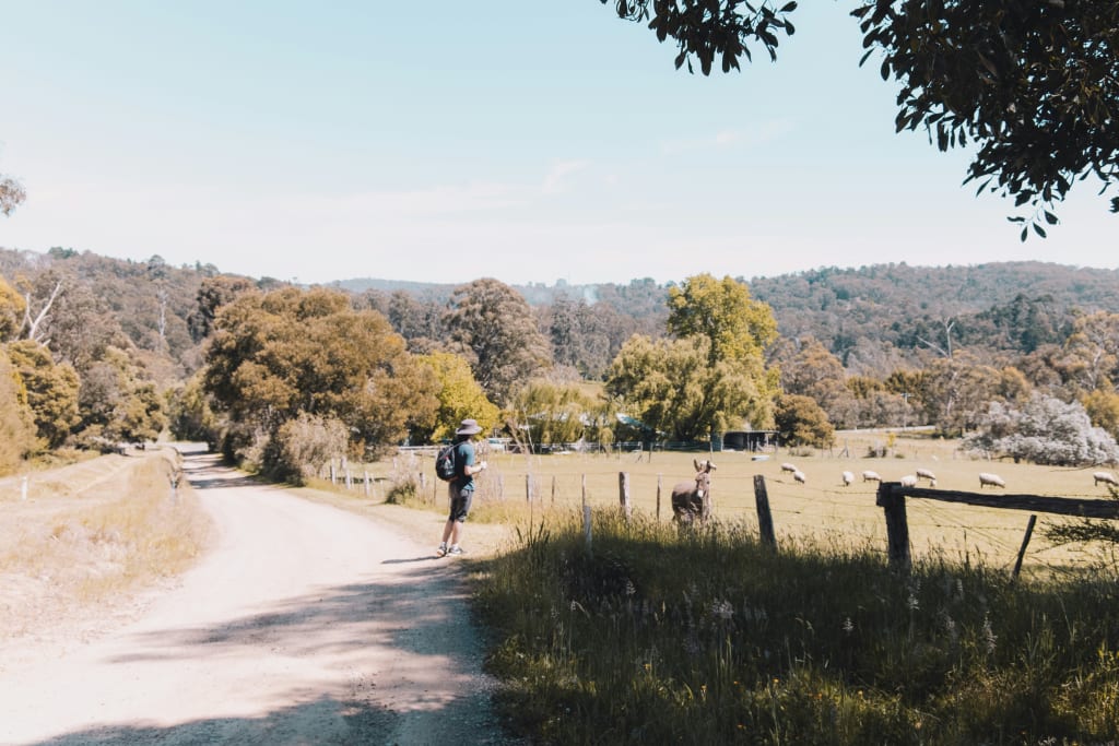 farm-work-in-australia