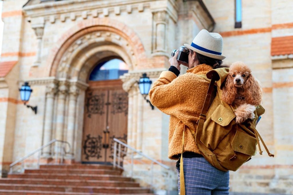 viajar-con-mascota