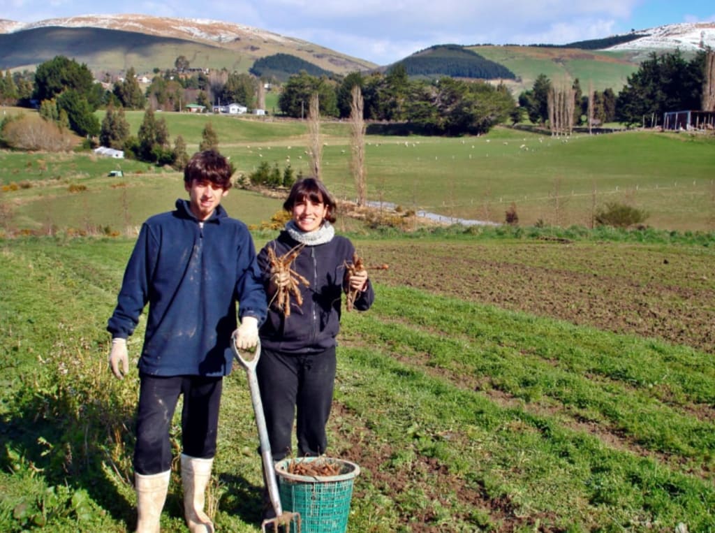 sustainable projects