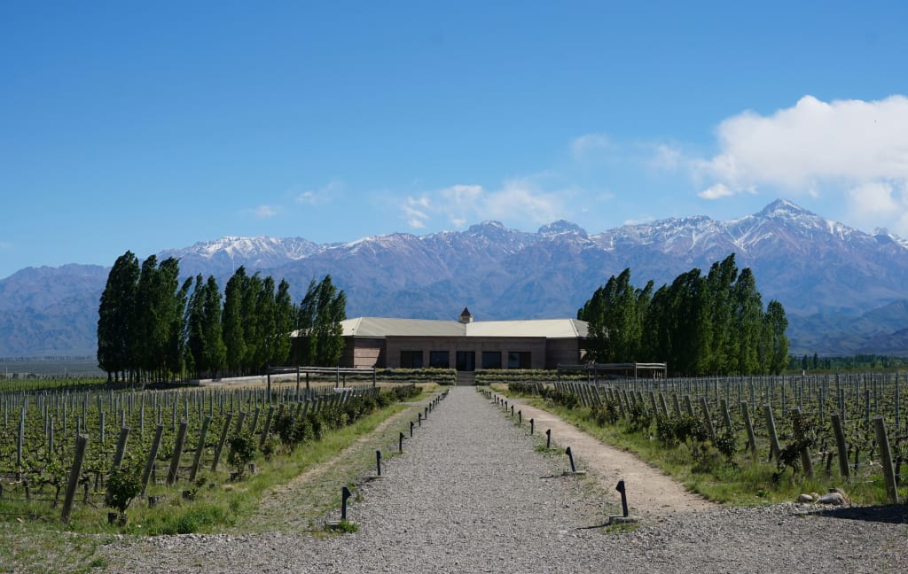 vinicolas-em-mendoza