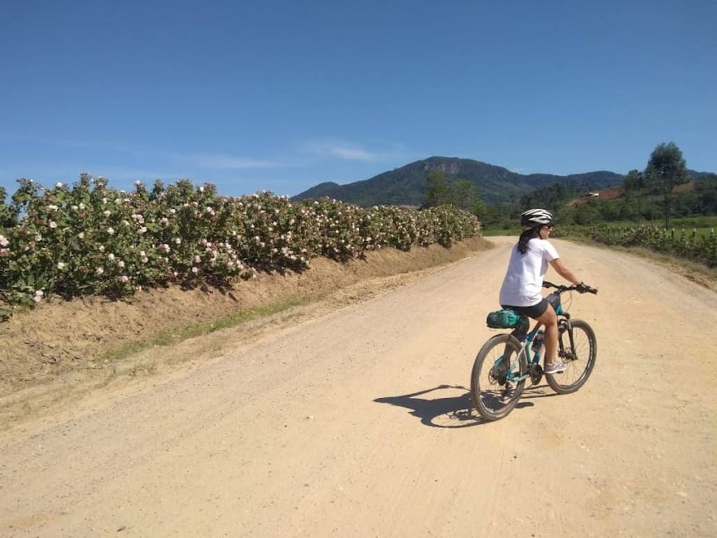 o que é cicloturismo e como praticar