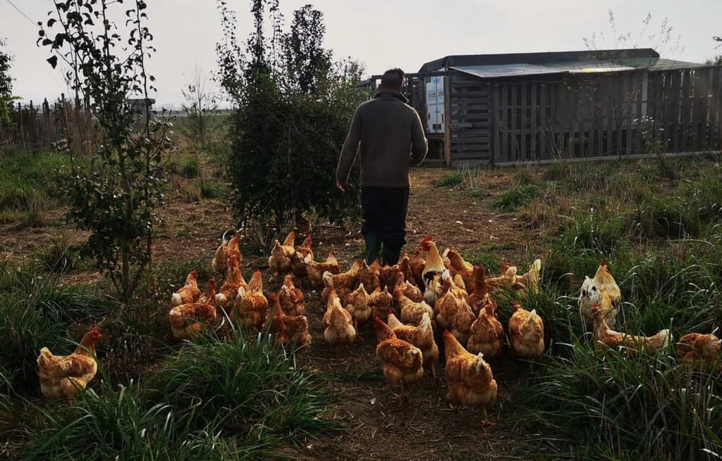 Warm Winter Wear for Rural Women Who Work Outdoors - Farm Fit Living