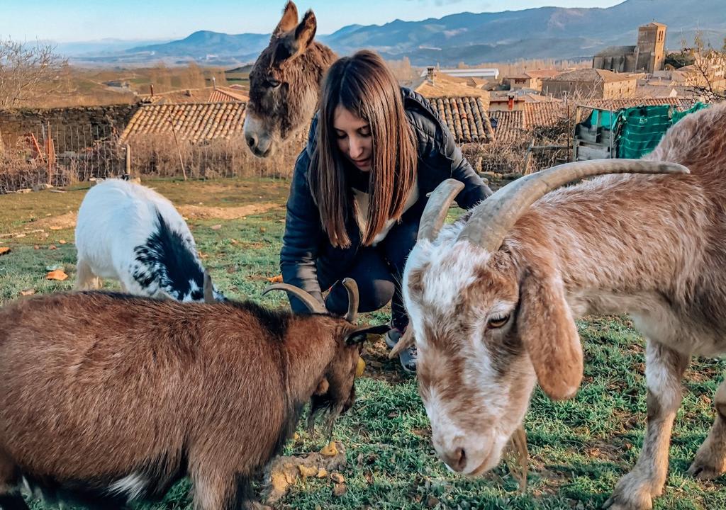 working on a farm