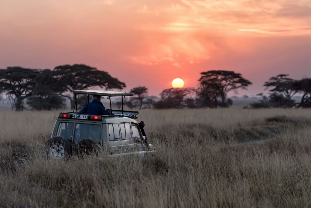 Tanzania safari