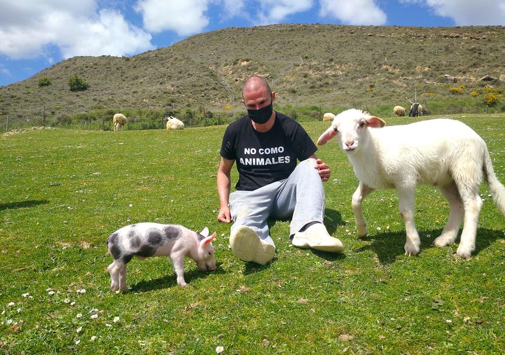 santuario-de-animales