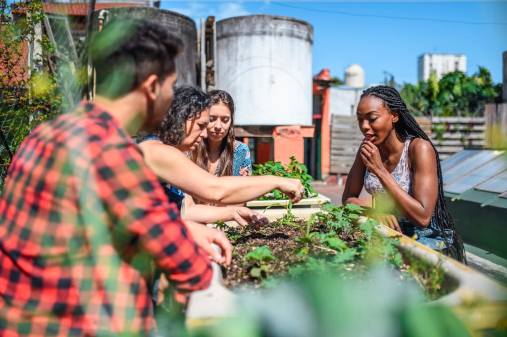 Organic gardening