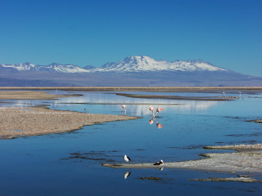 Dicas de como viajar barato para o Chile