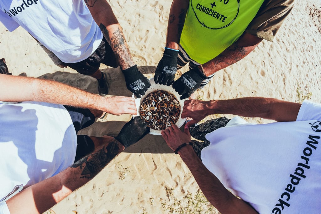 Beach cleanup ilhabela