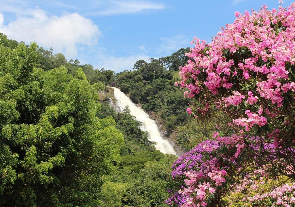 joanopolis-sp