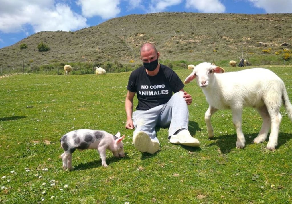 santuário de animais