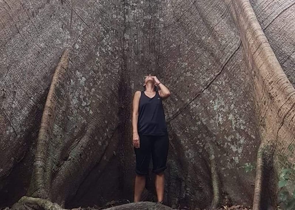 viajar depois dos cinquenta