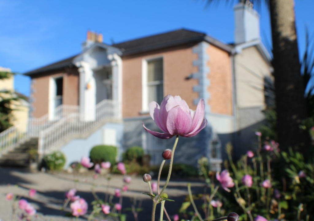 Entrada do Marilyn Mansion Guesthouse