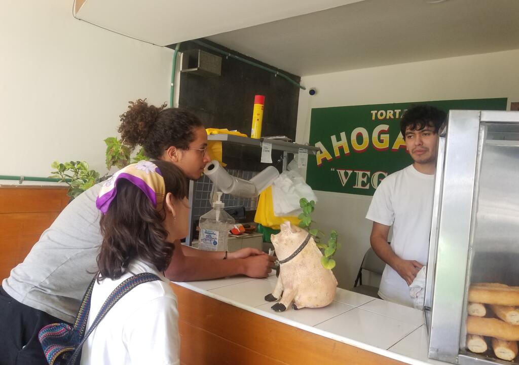 learn-spanish-volunteer-experience