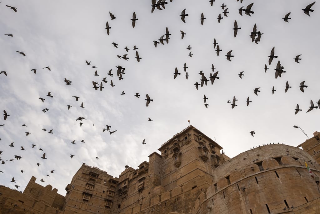 cosas-para-hacer-en-jaisalmer-rajasthan-india