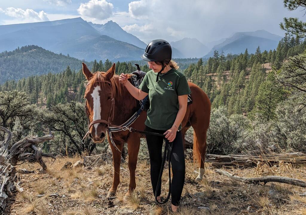 Horseback riding lessons