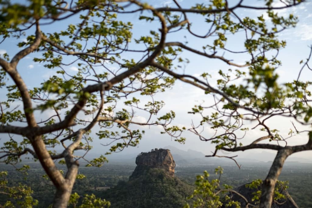 Bolsa Yoga Árbol de la vida - En el asiento de atrás