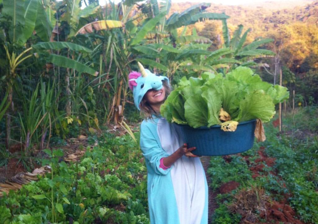 Um voluntariado ambiental é uma experiência única