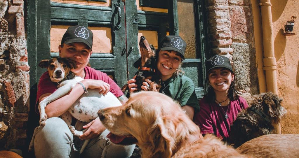 Cómo ser voluntario en una protectora de animales: conoce oportunid...